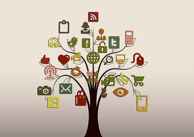 Social Media Analytics